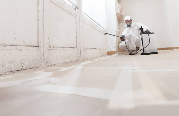 24/7 Emergency Crawl Space Mold Removal experts in New Cumberland, PA